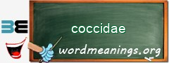 WordMeaning blackboard for coccidae